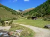 durch das Wilfernertal bei Pedretscherkaser