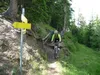 Singletrail vom Ghf Strumerhof Richtung Matrei