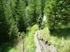 Singletrail vom Ghf Strumerhof Richtung Matrei