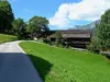 von Bichl Richtung Hof Wolsegger