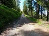 Auffahrt Richtung Zunigalm