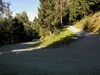 von Zwickenberg über Vorderberg bis Mooswiesen