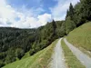 von Glader Richtung Rabantalm