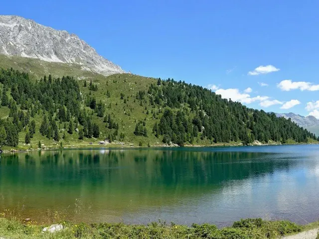 Defereggental