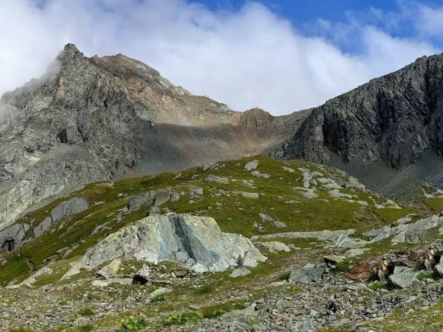 Virgental