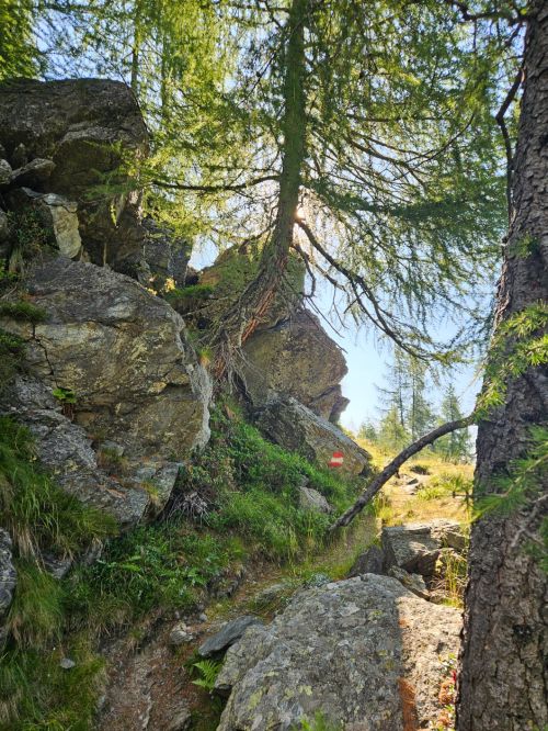 Tourbild