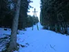 vom Tristacher See bis zur Dolomitenhütte Aufstieg durch Waldschneise