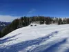 von Dolomitenhütte bis zum Aürlingköpfl bei Weißsteinalm