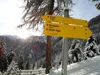 von Marcherhöfen Richtung Marcher Alm