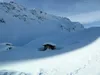 von Bläß Richtung Gipfel Berger Kogel