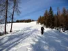erste freie Fläche nach Waldstück