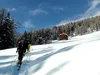 bei Mitterwurzeralm