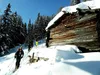 Mitterwurzeralm
