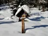 nach Mitterwurzeralm