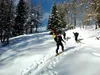nach Mitterwurzeralm