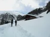 Alfenalm