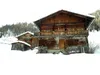 Alfenalm