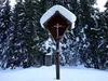 durch das Hollbrucker Tal