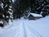 durch das Hollbrucker Tal