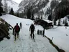 bei Lesachalm