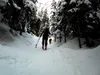 vom Start Richtung Schmidhoferalm
