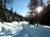 von Lackenkammer zur Niederbruggeralm