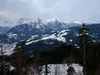 über den Forstweg zu den Jagdhütten bei Stelzing Blick Richtung SW