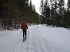 über den Forstweg zu den Jagdhütten bei Stelzing