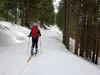 von den Jagdhütten bei Stelzing Richtung Dellacher Alm