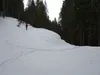 von den Jagdhütten bei Stelzing Richtung Dellacher Alm