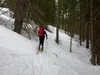 von den Jagdhütten bei Stelzing Richtung Dellacher Alm durch den Wald