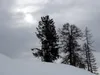 von Dellacher Alm Richtung Gipfel Jauken