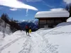 Abfahrt durch das Einattal bei der Schmidhoferalm