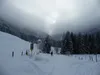 Abfahrt über Forstweg beim Grünsee