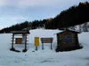 vom Start Richtung Alfenalm