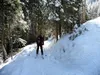 Abfahrt durch den Wald