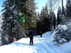 Abfahrt durch den Wald