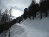 von Unterstaller zur Riepenalm