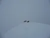 Gipfel Riepenspitze