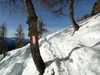 von der Rottmannalm bis zum Goisele
