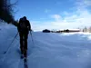 Almen auf Gossenwiesen