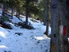 Aufstieg Richtung Speikbodenhütte