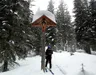 über den Sommersteig hoch zur Winkler Alm
