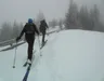 von der Winkler Alm zum Gipfel Straßkopf